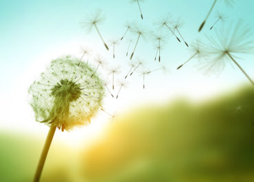 Coaching & Yoga, "Retrouver du sens" le 8 mai 2021